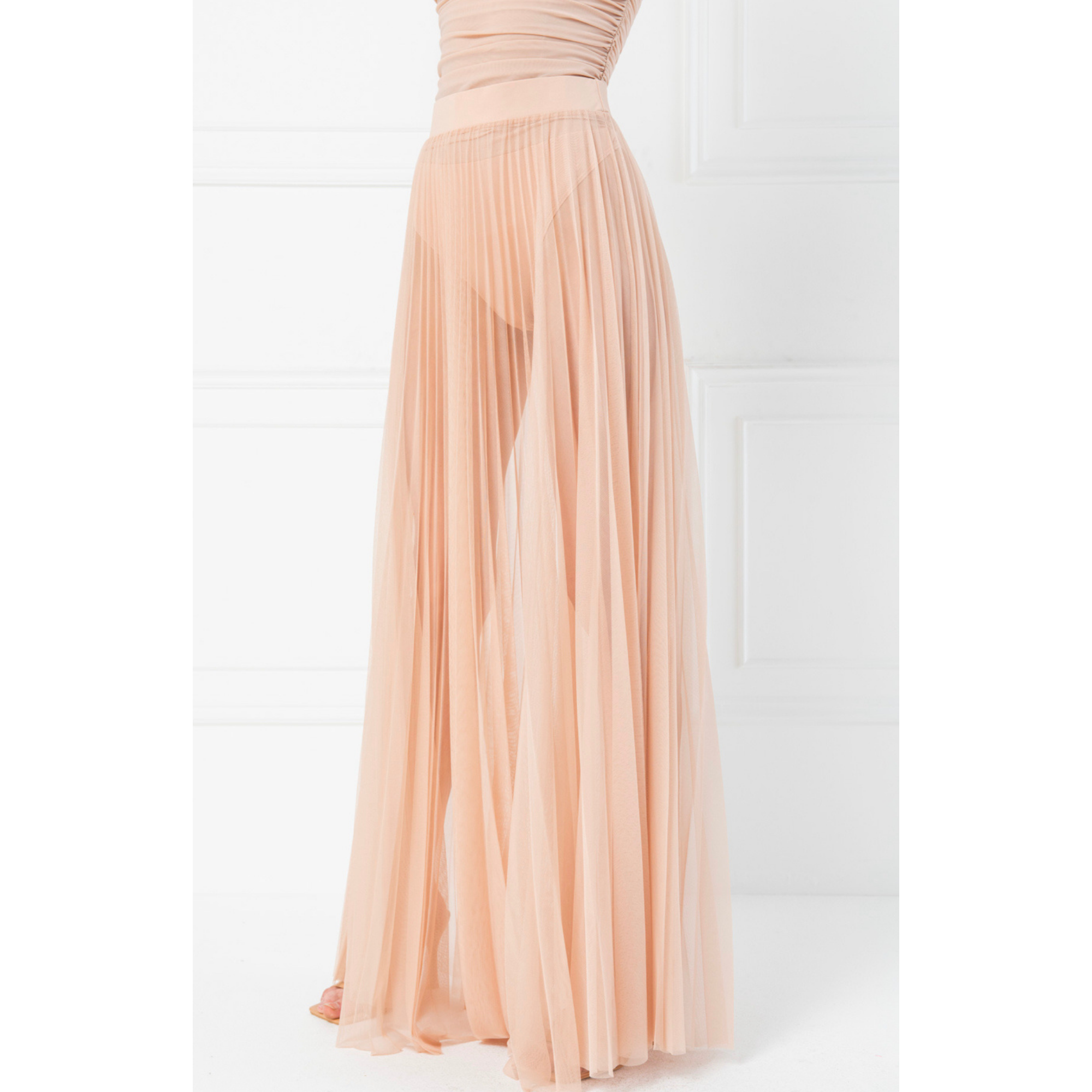 Sheer Pleated Maxi Skirt